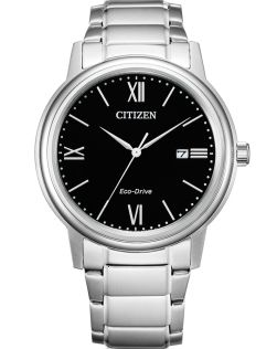 Citizen Lady AW1670-82E
