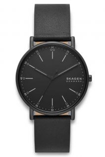 Skagen Signatur SKW6902